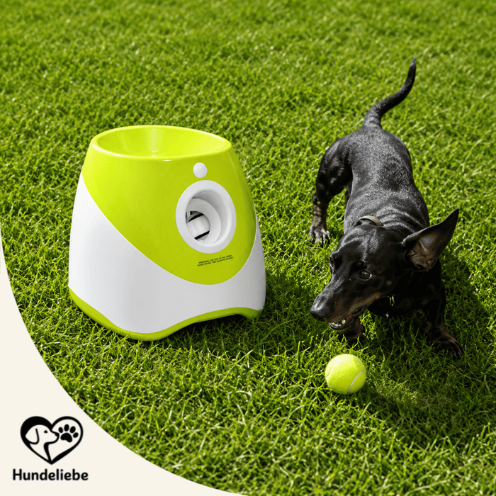 Automatischer Ball-Werfer für Hunde – Abbildung 2