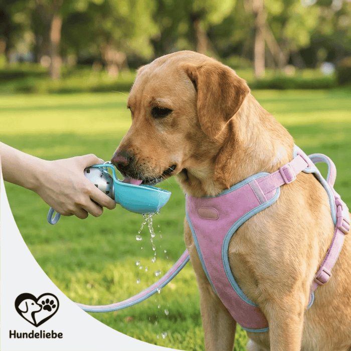 Hunde-Wasserspender Kugel – Abbildung 2