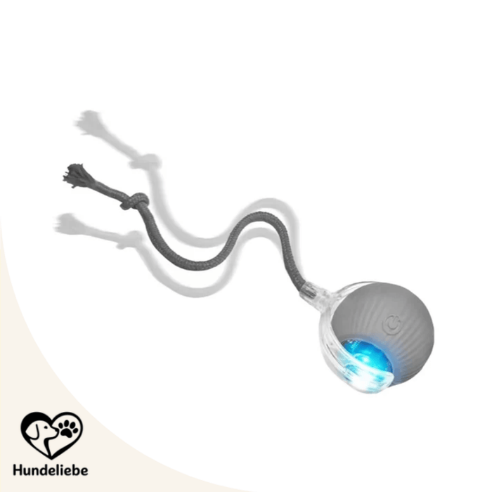Smarter Interaktiv-Ball in Grau