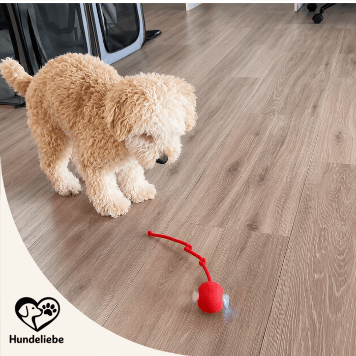 Smarter Interaktiv-Ball – Abbildung 2