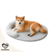 Orthopädisches Hundebett mit erhöhtem Rand
