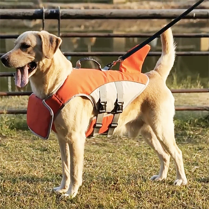 Schwimmweste für Hunde mit Haifischflosse