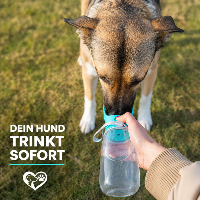 Hunde-Trinkflasche 2in1 im Einsatz – Wasser- und Futterfach unterwegs